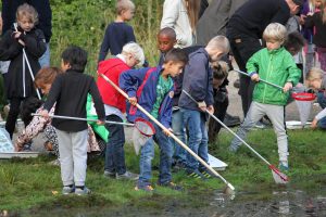 Som en del af Roskilde Naturvidenskabsfestival var 250 1.klasseselever mandag på Boserupgård Naturcenter i Boserup Skov for blandt andet at finde dyr i vandhullet og løbe om kap med skovens dyr.
