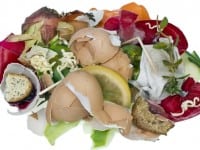 Garbage dump food waste isolated concept