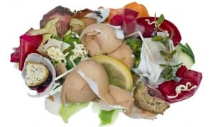 Garbage dump food waste isolated concept
