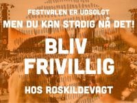 Vagt på festival