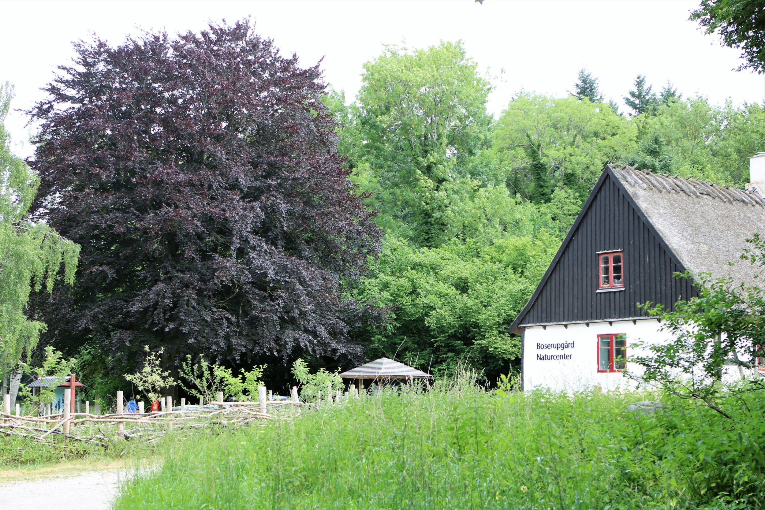 Boserupgård Naturcenter bliver en trædesten til oplevelser for børn og voksne i skoven