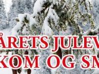 Vinsmagning på julevine fra Holte Vinlager Roskilde