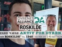 Foto: Dyrenes Alliance - Roskilde‎