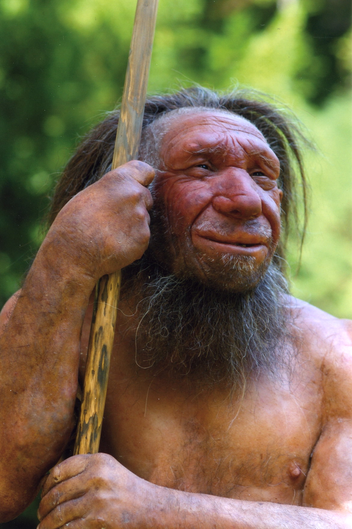 Jagten på den danske neandertaler er sat ind