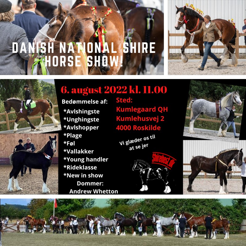 Danish National Shire Horse Show