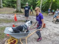 Populært motionsløb med hund vender tilbage i Boserup skov