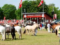 Roskilde Dyrskue bliver afholdt fra fredag 31. maj til søndag 2. juni. Foto: Roskilde Dyrskue