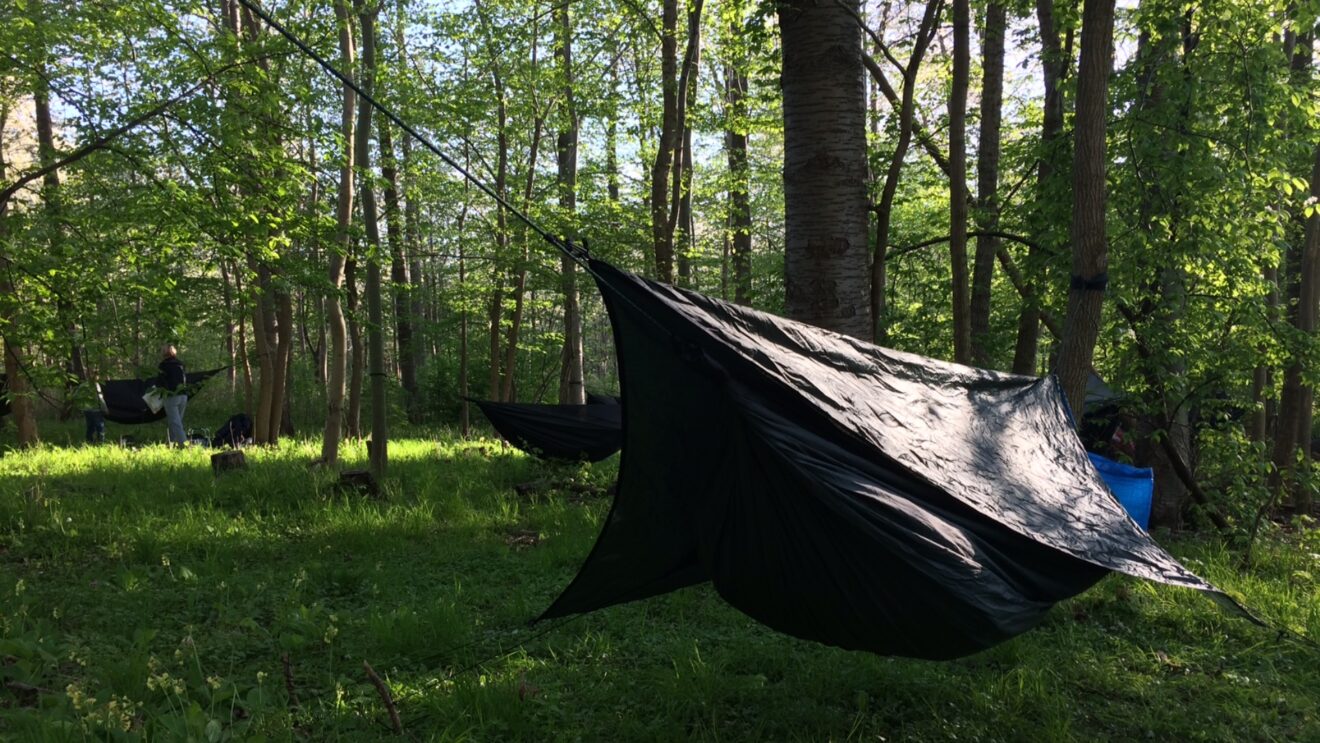 En nat i naturen - Boserup Skov