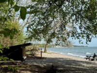 Nyt shelter ved Strandmølle Strand, Nordsjælland. Pressefoto