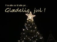 Glædelig jul fra Dit Roskilde