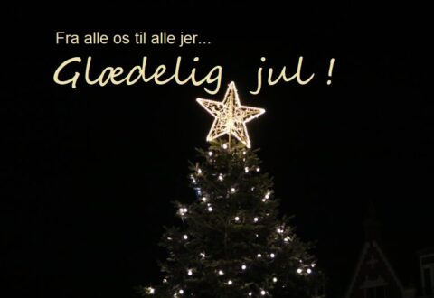 Glædelig jul fra Dit Roskilde