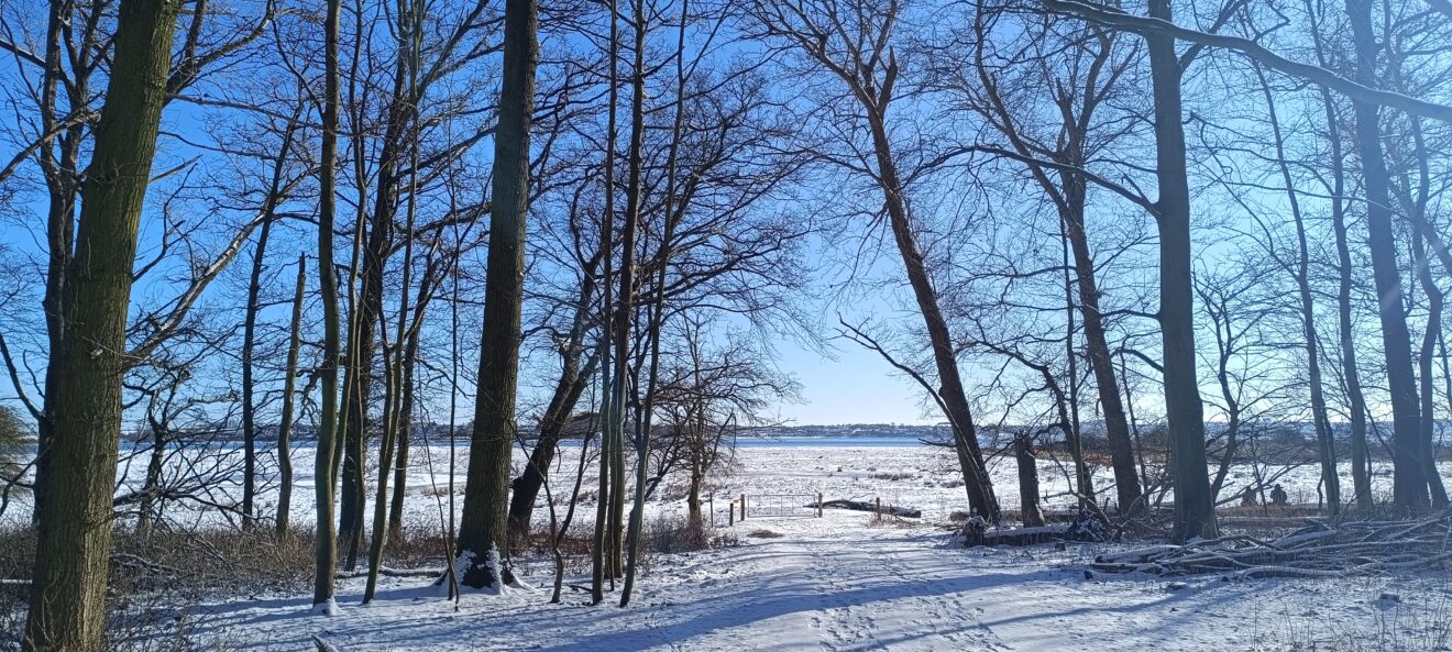 Eventyrlig vinter