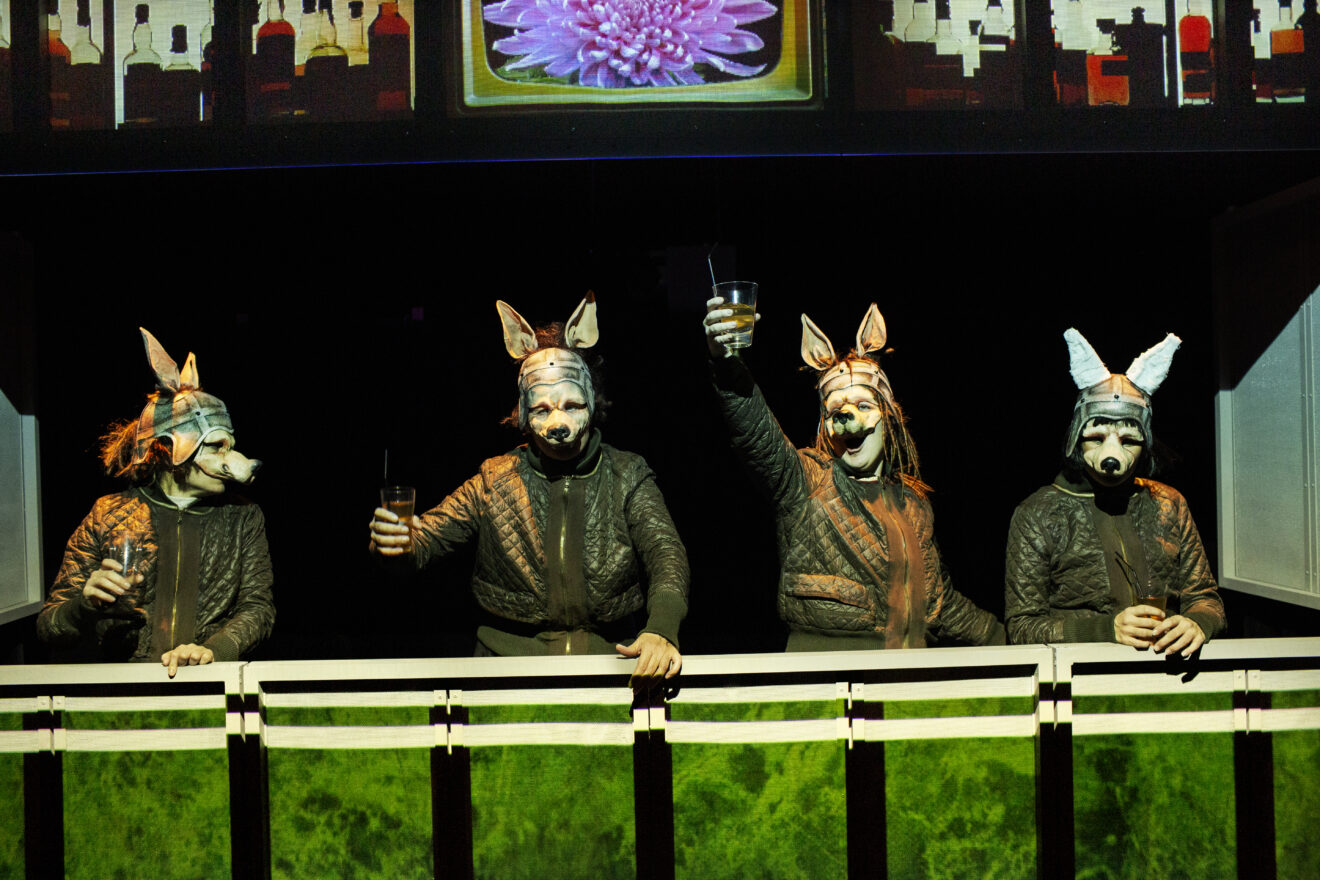 Orwell og vort skrøbelige demokrati, - ANIMALS er teater til tiden!